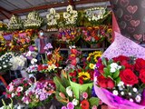 COmo cada año, comerciantes esperan que sus ventas de flores el próximo 10 de mayo sean buenas