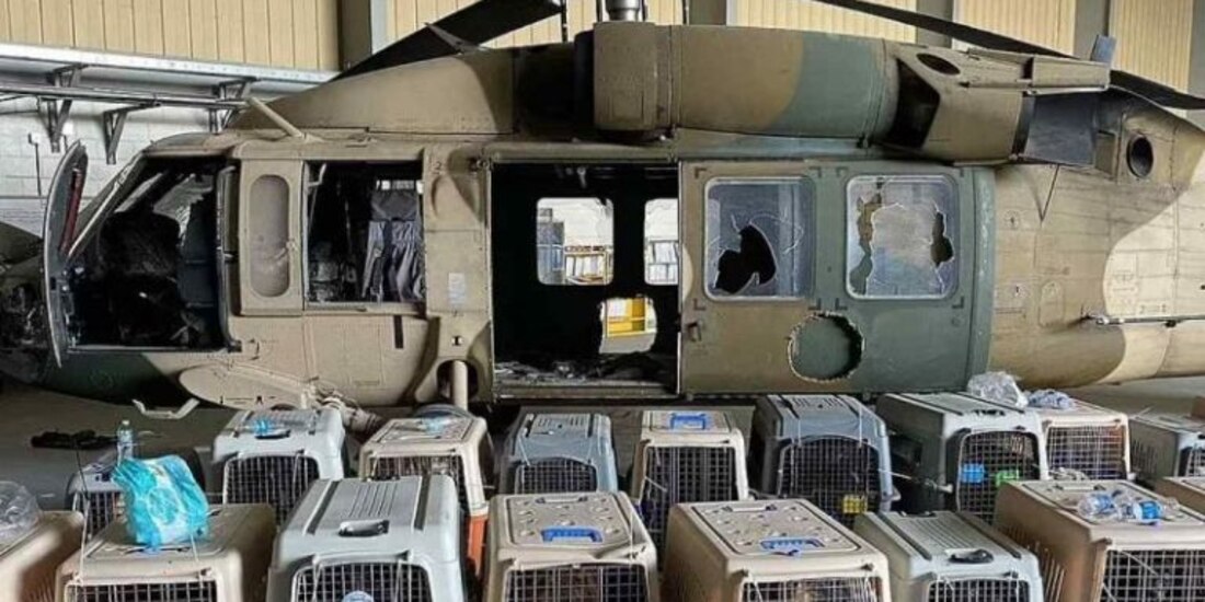 El Pentágono respondió luego de la fuerte acusación sobre los perros, hacia Joe Biden y el ejército de EU