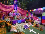 En el Cuarto Festival de Ofrendas y Arreglos Florales del Centro Histórico habrá desfile de catrinas y de vestidos de novias.