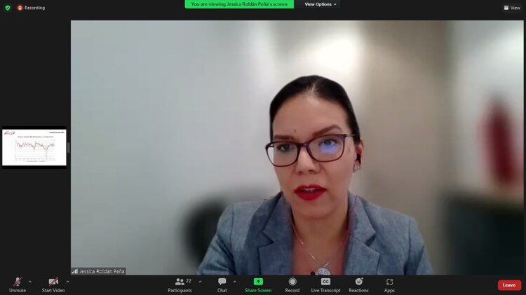 Jessica Roldán, vicepresidenta del Comité Técnico del Indicador IMEF, en videoconferencia.