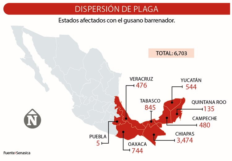 Dispersión de plaga