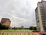 Rectoría de la UNAM