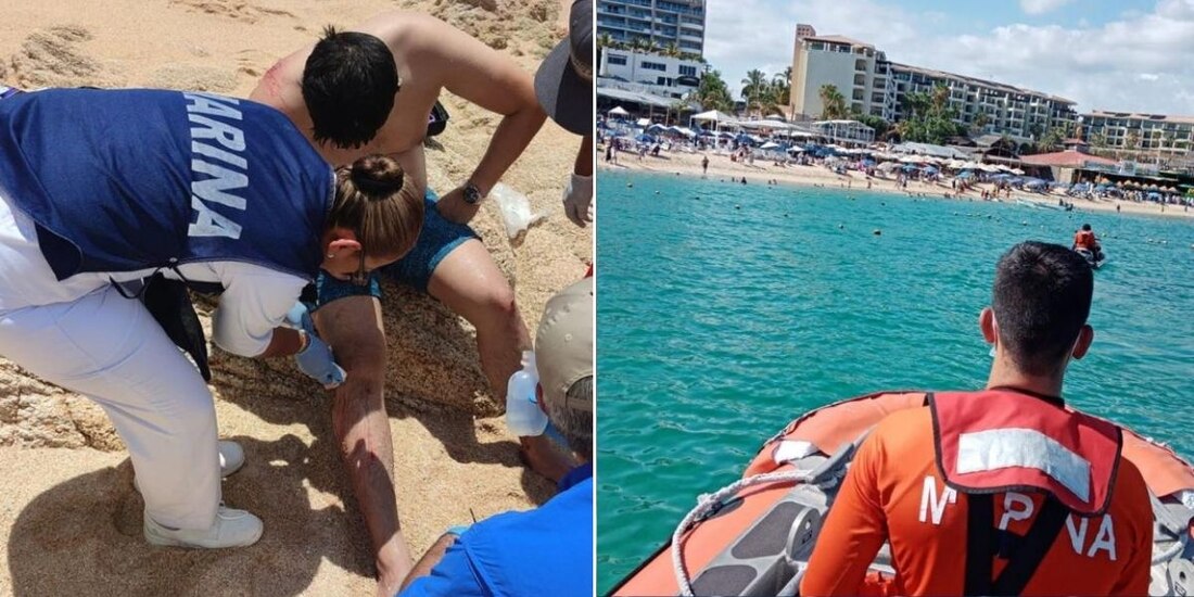 Marina concluye "Operación Salvavidas Verano 2022"