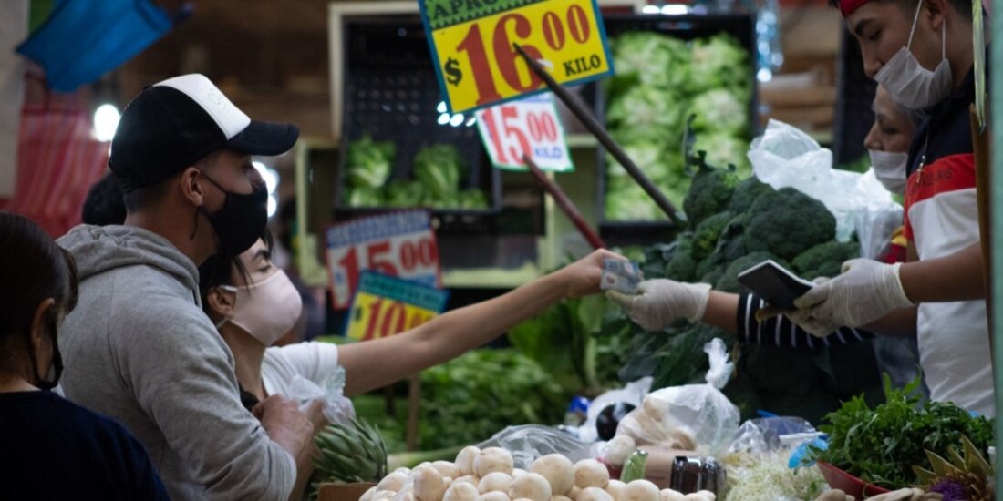 Verduras aumentan su costo en la primera quincena de agosto