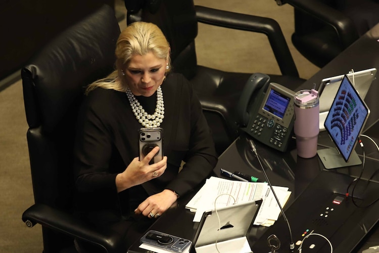 Verónica Noemí Camino Farjat, vicepresidenta de la mesa directiva del Senado de la República