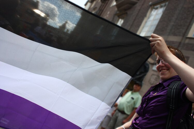 El color morado de la bandera representa la asexualidad; el color negro, la falta de atracción sexual; el gris, el espectro de esta identidad y el blanco, el apoyo de otras comunidades.