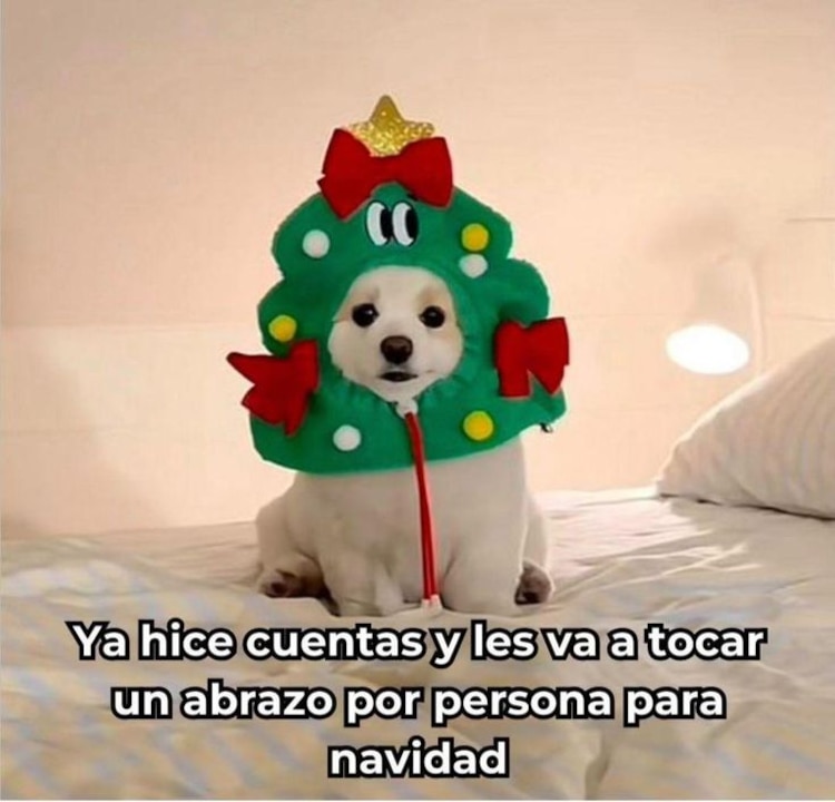 Imagenes divertidas de Navidad para el chat familiar de WhatsApp