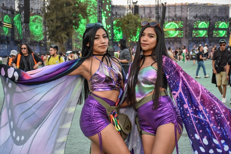 Looks en el EDC 2024