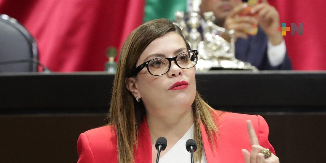 Diputada del Partido del Trabajo denuncia campaña de ataques previo a reforma electoral