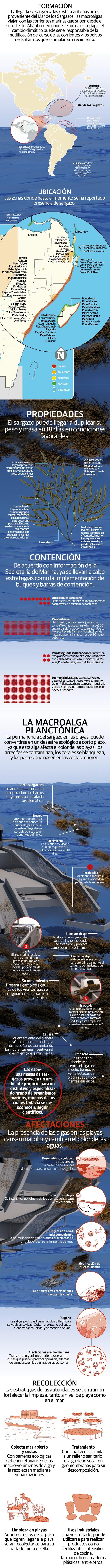 Alerta en el Caribe mexicano por la presencia de sargazo en exceso