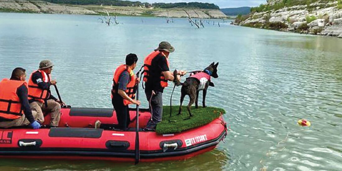 Binomios caninos mexicanos en las labores de rescate, ayer, tras las inundaciones del río Guadalupe en Texas.