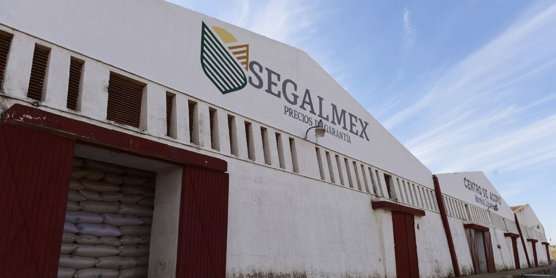 La suspensión la llevó a cabo un juez del Estado de México.