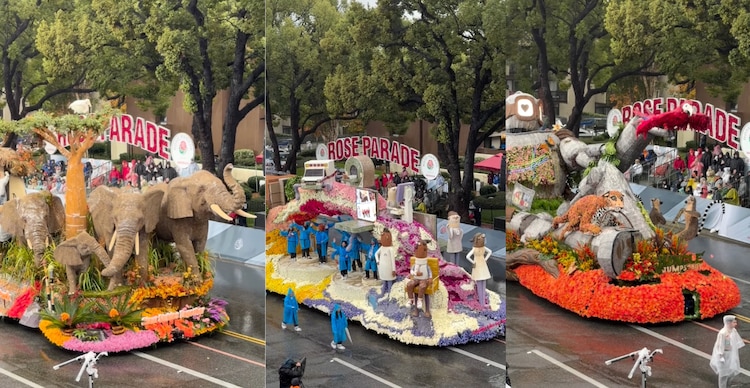 Carrozas del Desfile de las Rosas 2026