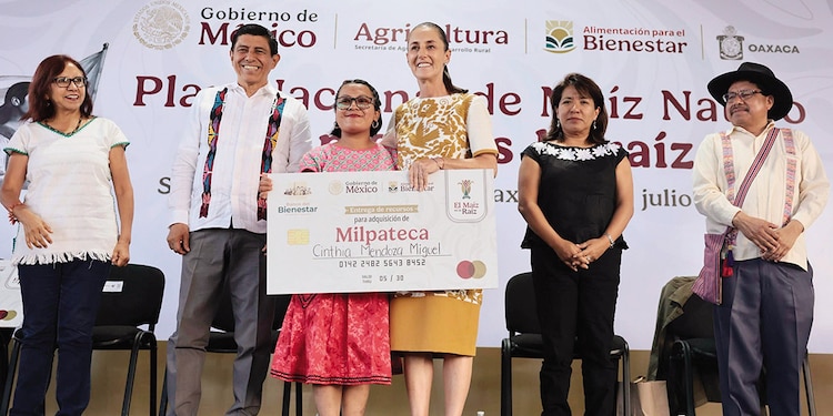 LA PRESIDENTA impulsó el Plan Nacional de Maíz Nativo: El maíz es la raíz, en Oaxaca, el 31 de julio, para ayudar a 1.5 millones de campesinos para 2030.