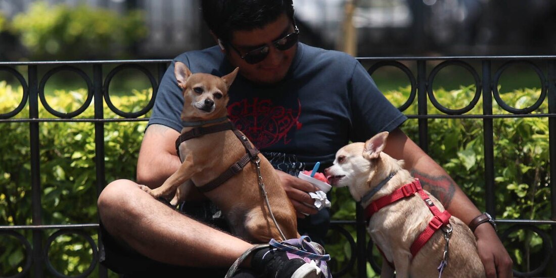 ¡Diviértete en la CDMX!