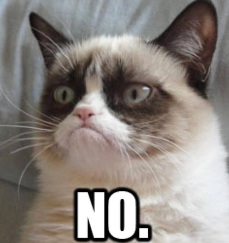 Grumpy Cat.