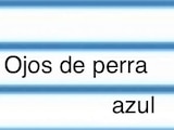Ojos de perra azul