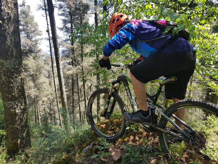 Turistas suelen hacer recorridos en bicicleta.