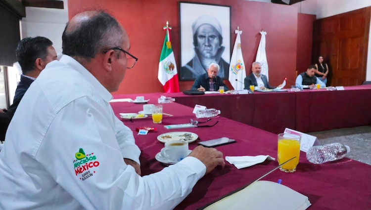 Las acciones de seguridad en la región cuentan con el despliegue operativo en zonas clave como Uruapan.
