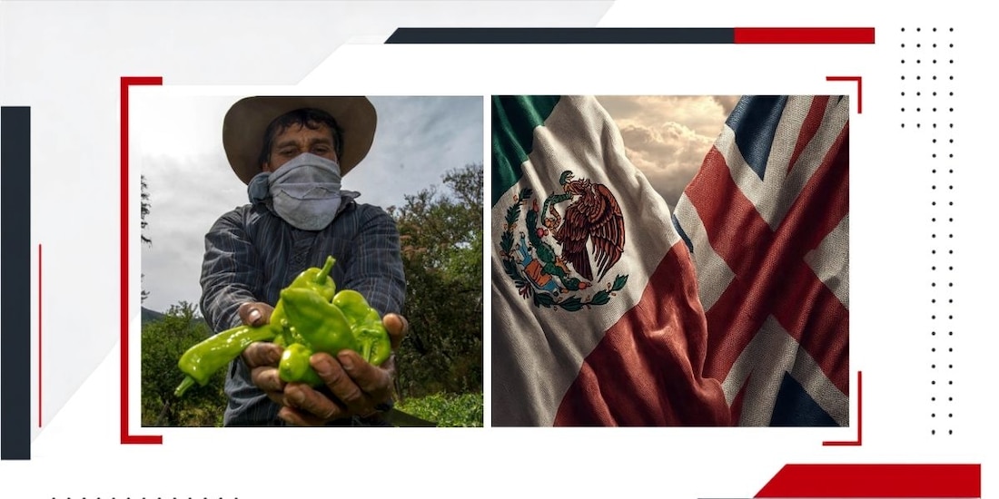 Las exportaciones agropecuarias mexicanas hacia Reino Unido alcanzaron un máximo histórico, impulsadas por productos como tequila, miel, salsas y melaza de caña.