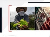Las exportaciones agropecuarias mexicanas hacia Reino Unido alcanzaron un máximo histórico, impulsadas por productos como tequila, miel, salsas y melaza de caña.