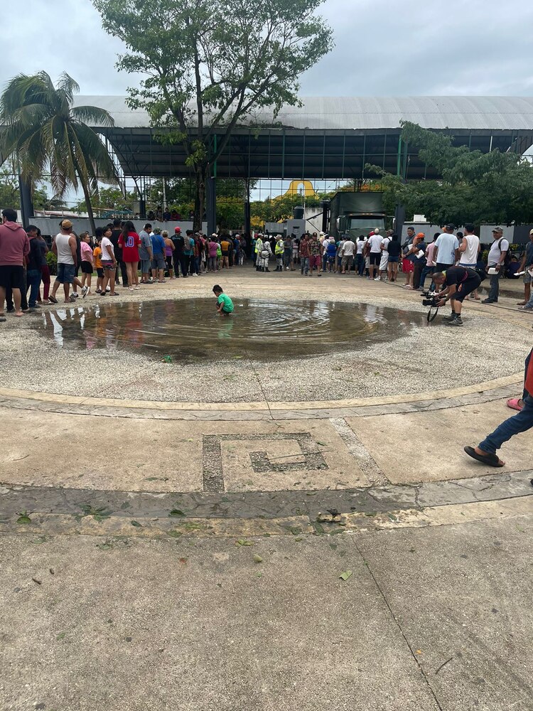 Operación de la Sedena en Tulum.