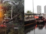 Fuertes lluvias causan encharcamiento y caída de árboles en CDMX.
