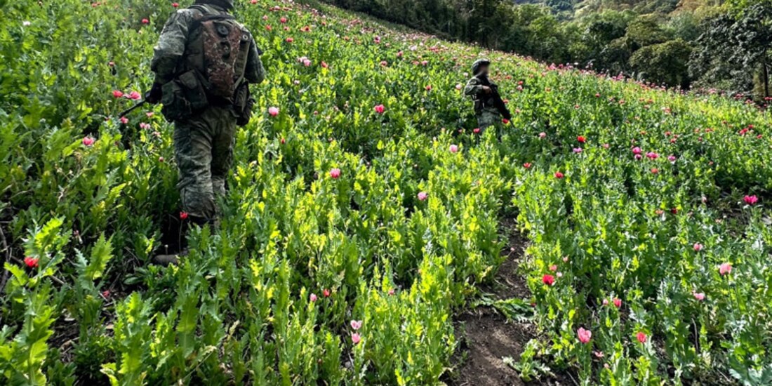 Operativo de elementos castrenses mexicanos.