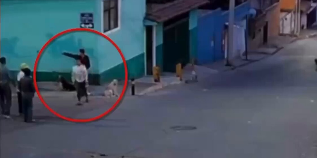 Mujer es atacada con un machete por defender a perros callejeros en Puebla.