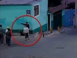 Mujer es atacada con un machete por defender a perros callejeros en Puebla.