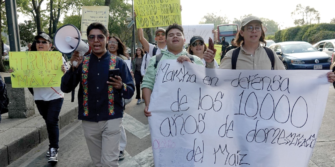 Colectivos marcharon en defensa del maíz nativo, ayer, en Paseo de la Reforma.