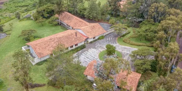 Terreno de El Mencho