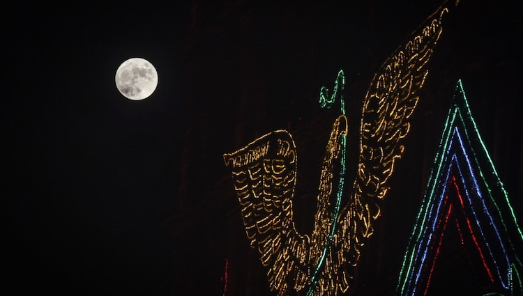 Una velada llena de tradición, ritmo y espíritu festivo espera a los asistentes desde las siete de la noche.