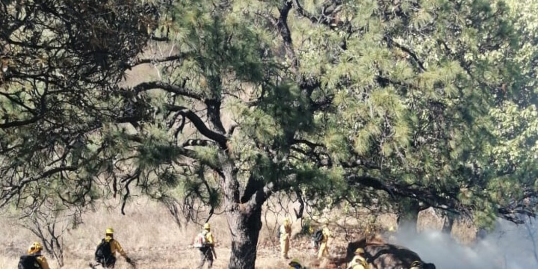 Guardabosques trabajan mitigando un incendio.