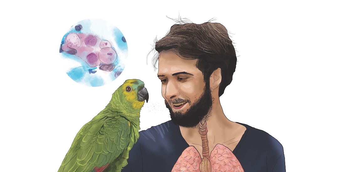 Infección causada por aves