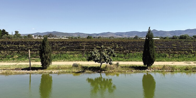 San Diego de la Unión, naturaleza y fe viva
