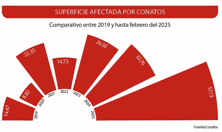 Comparativo entre 2019 y hasta febrero del 2025