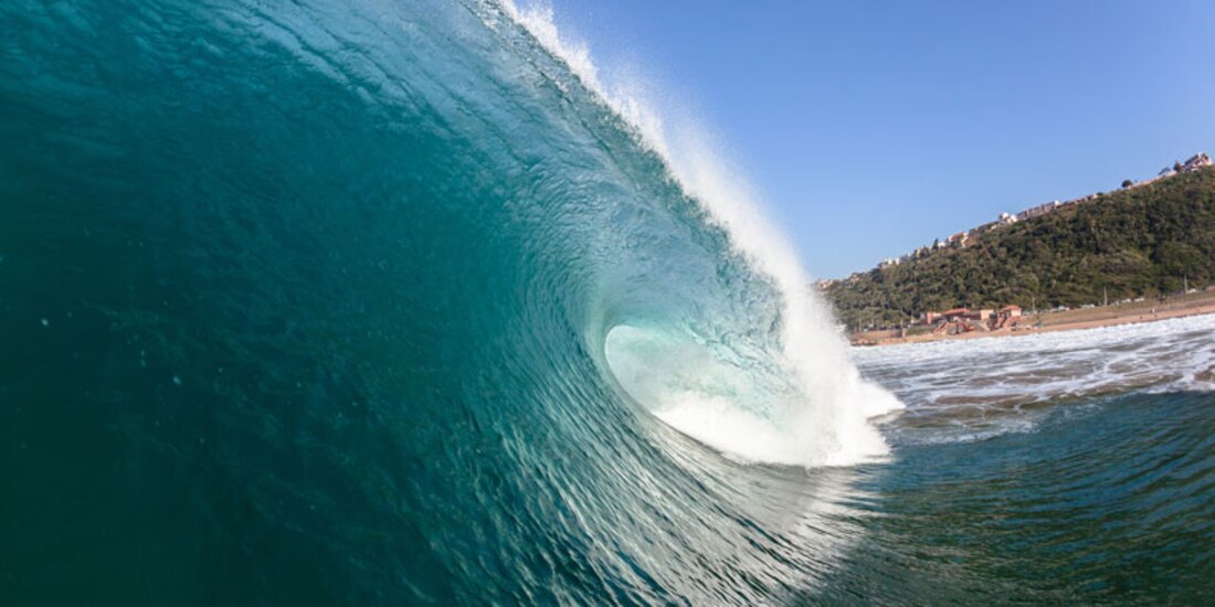 Cambio climático reduce especies marinas.