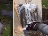 Vecinos denuncian que se reactivó mega fuga en Xochimilco.