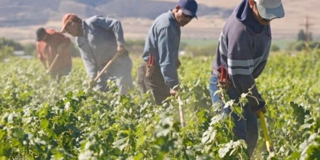 Un grupo de trabajadores migrantes, en Carolina del Norte, Estados Unidos.