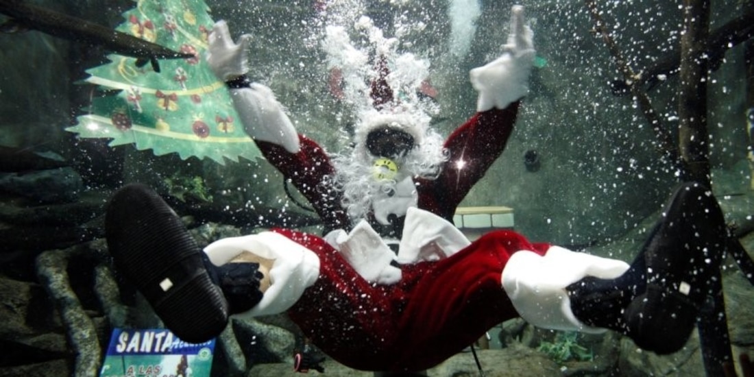 "Santa acuático" nada con peces y se toma fotografías en acuario de zoológico de Guadalajara.