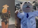 Lady Gaga es golpeada en la cara con un Dr. Simi a medio concierto