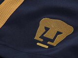 Los Pumas de la UNAM van a sumar un delantero para el Apertura 2022.