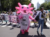 Aspecto de una marcha contra las desapariciones en CDMX.