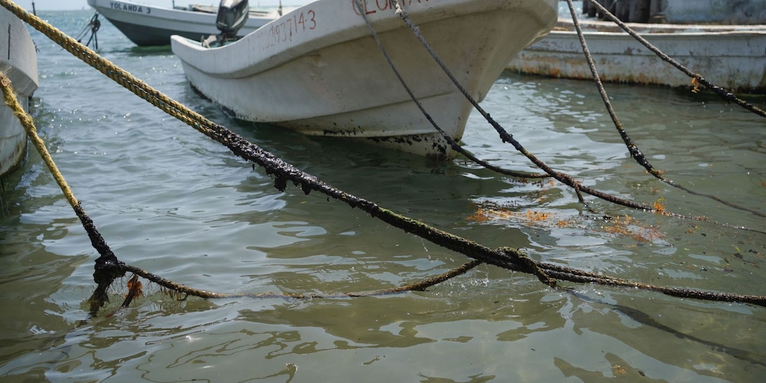 Elementos de la Marina realizan recorridos de playas de las ciudades de Veracruz y Boca del Río para proceder a la limpieza de estas