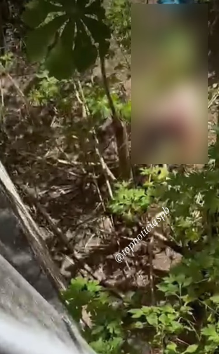 Así quedó el joven tras entrar a la jaula de la leona