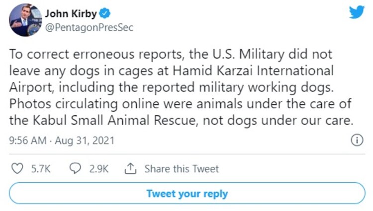 El Pentágono desmintió la acusación de abandono de perros del ejército de Estados Unidos