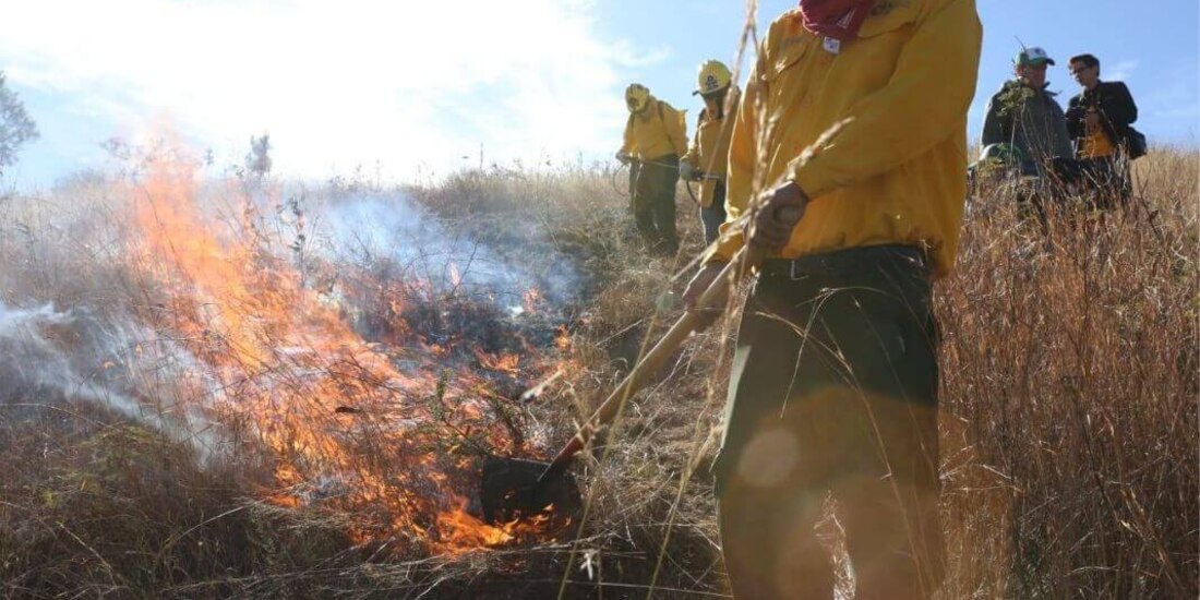 Aumentan incendios forestales activos en México 