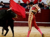 La tauromaquia fue descartada por la Unesco.