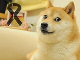 La perrita que inspiró el meme Doge falleció a los 17 años de edad.